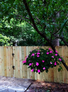 New fence! 